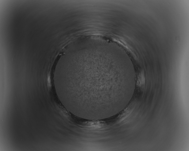 X0000089700524200706281457