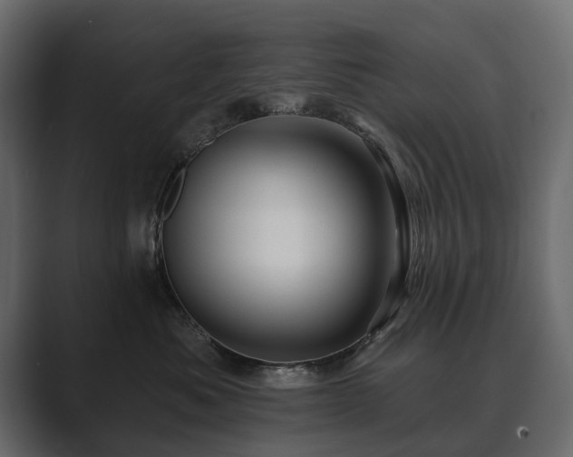 X0000089700525200706281457