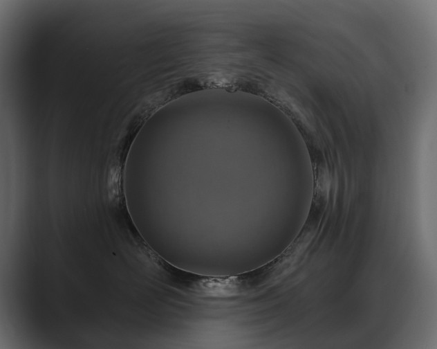 X0000089700526200706281457