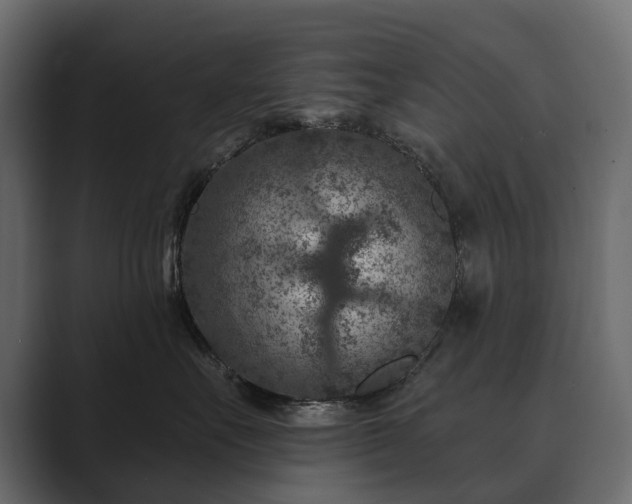 X0000089700527200706281457