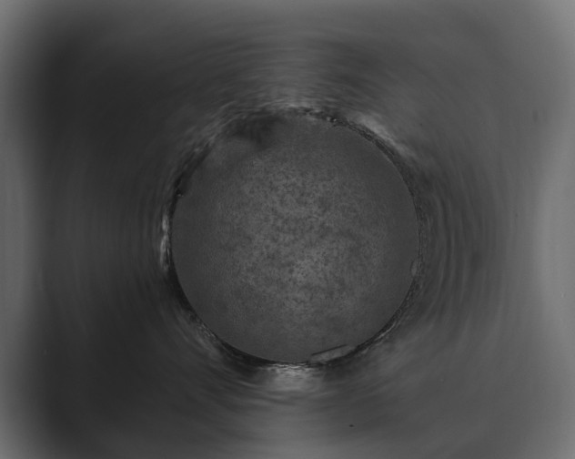 X0000089700528200706281457