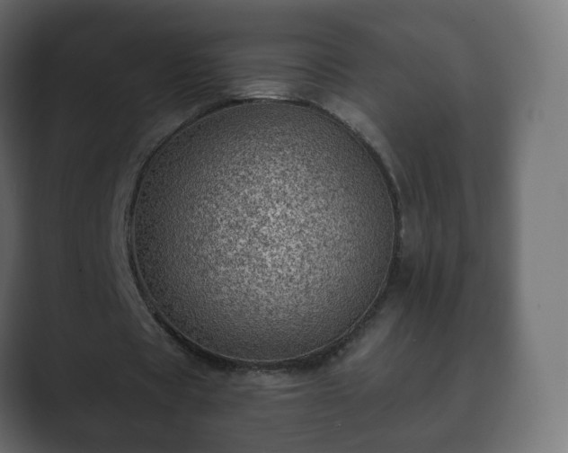 X0000089700529200706281456