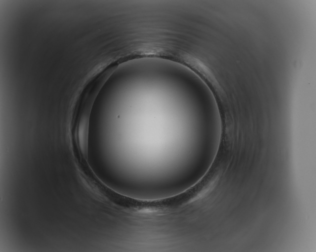 X0000089700530200706281456