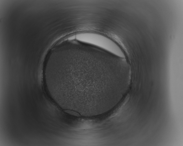 X0000089700531200706281456