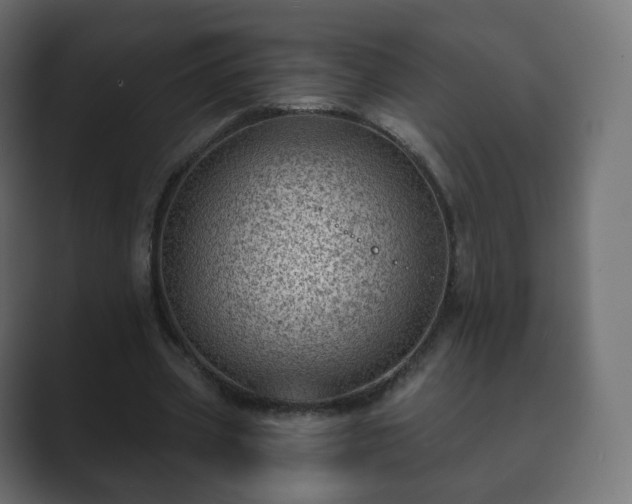 X0000089700533200706281456