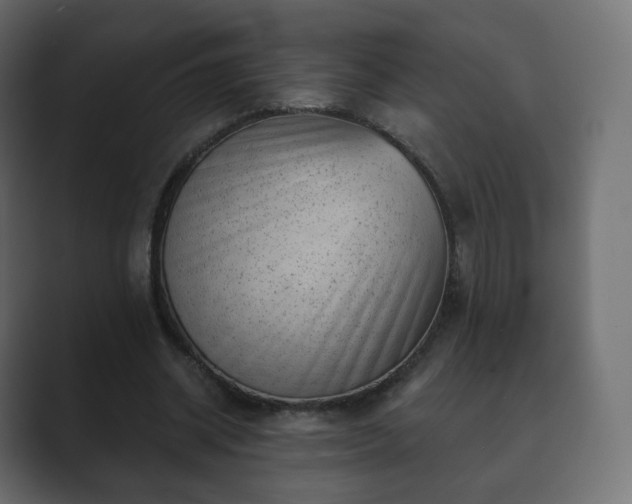 X0000089700534200706281456