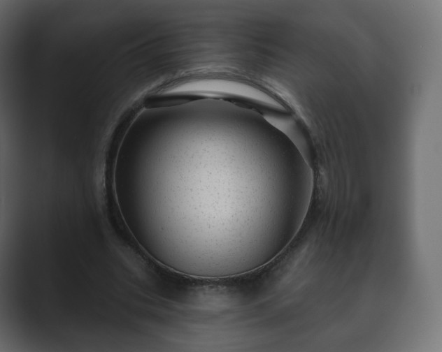 X0000089700535200706281456