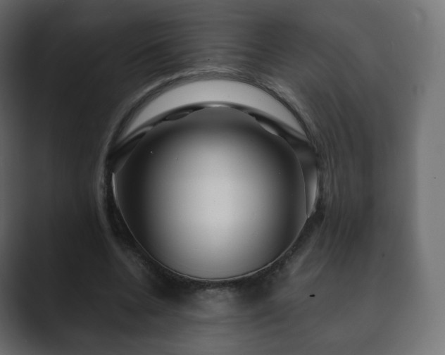 X0000089700536200706281456