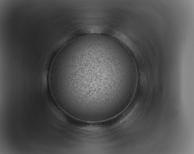 X0000089700537200706281456