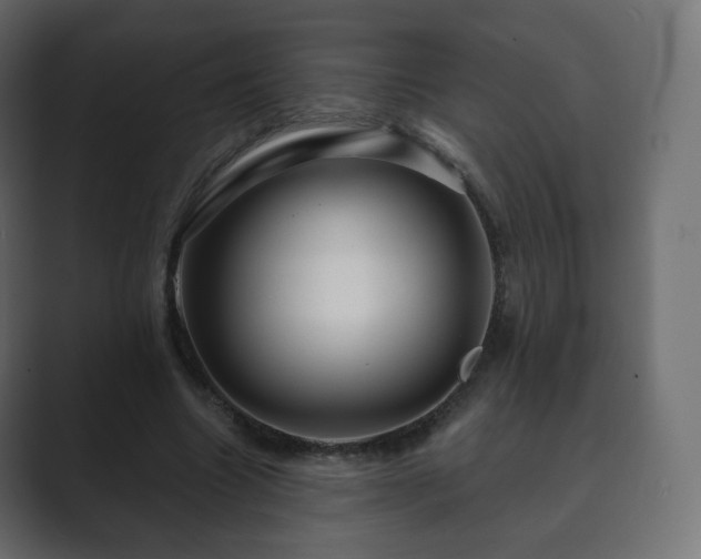 X0000089700538200706281456