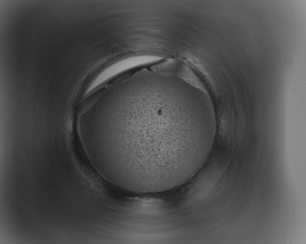 X0000089700539200706281456