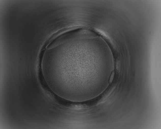 X0000089700540200706281456