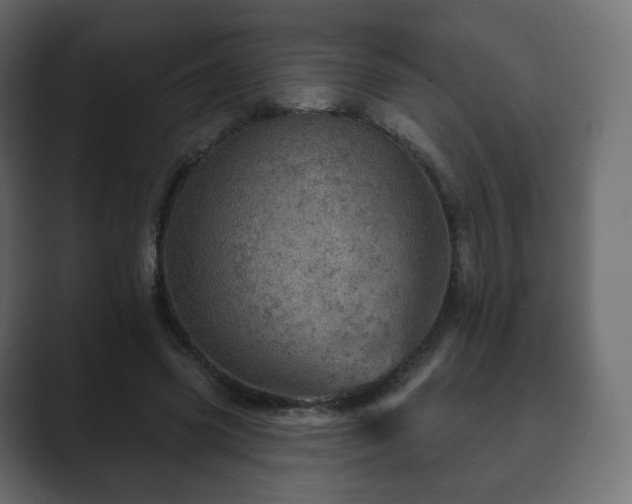 X0000089700541200706281456