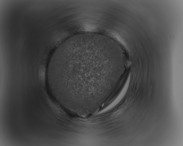 X0000089700542200706281456