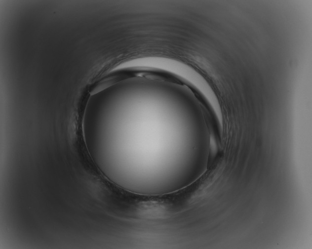 X0000089700544200706281456