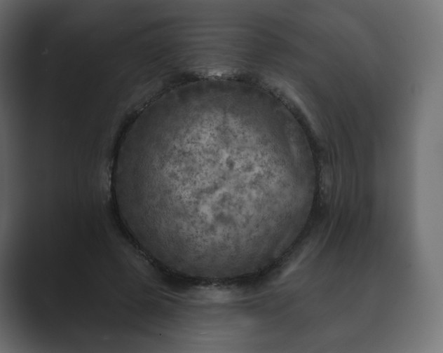 X0000089700545200706281456