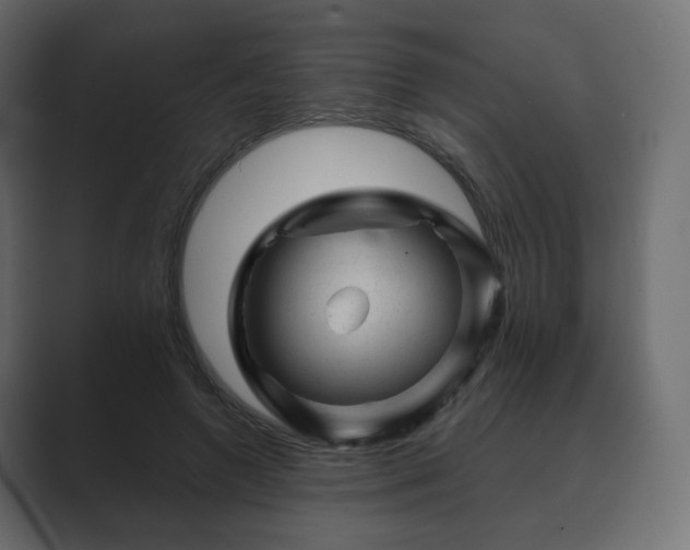 X0000089700546200706281456