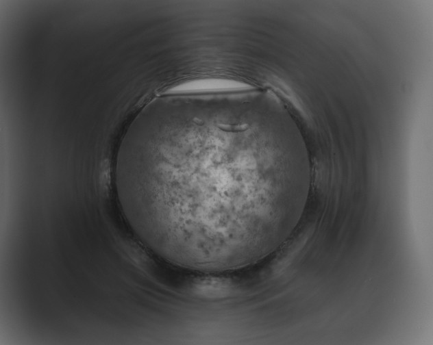 X0000089700549200706281456