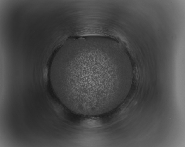 X0000089700550200706281456