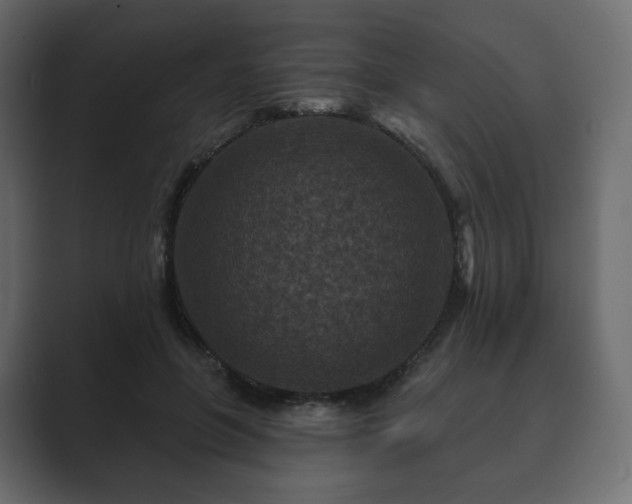 X0000089700551200706281456