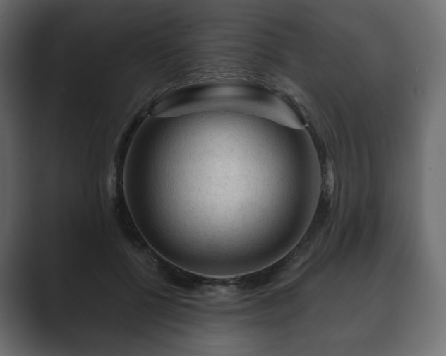 X0000089700552200706281456