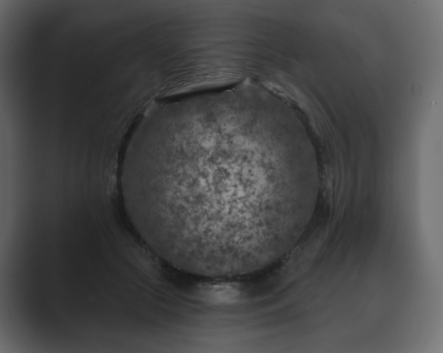 X0000089700553200706281456