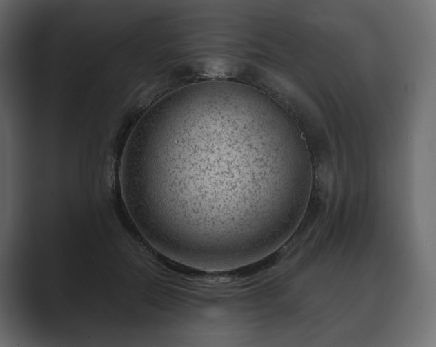 X0000089700554200706281456