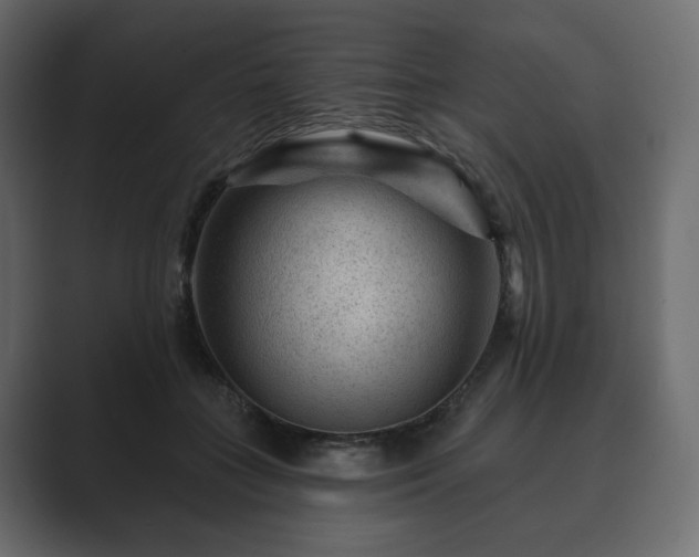 X0000089700555200706281456