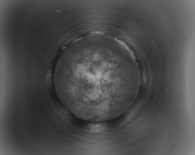 X0000089700557200706281456