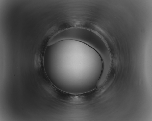 X0000089700558200706281456