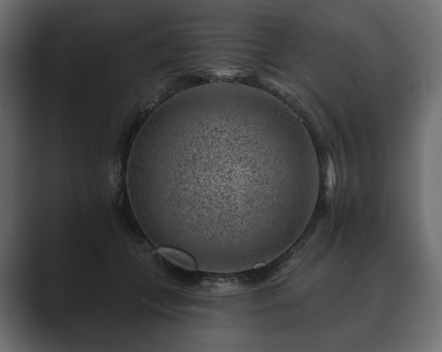 X0000089700559200706281456