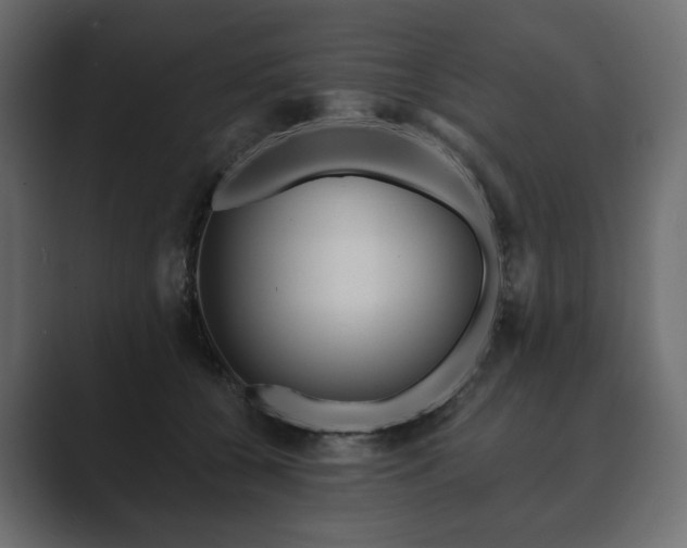 X0000089700560200706281456