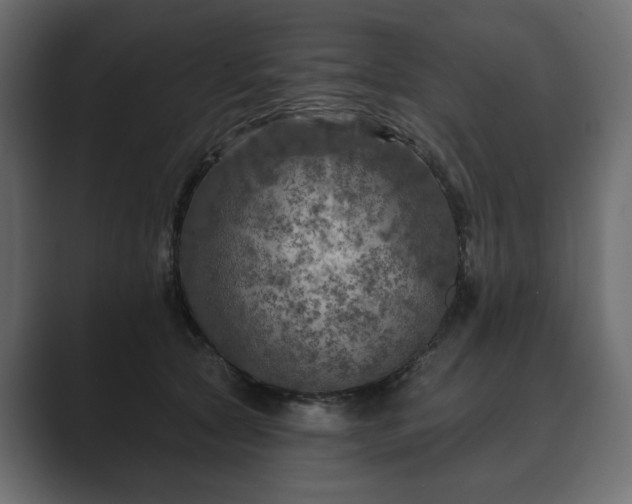 X0000089700561200706281456