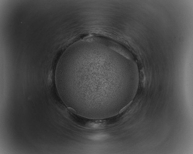 X0000089700563200706281456