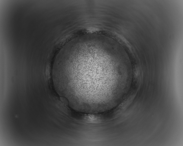 X0000089700565200706281456