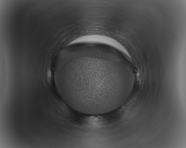 X0000089700566200706281456