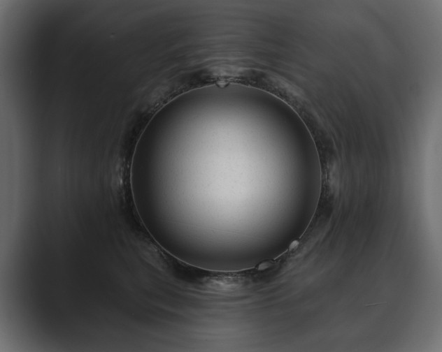 X0000089700567200706281456