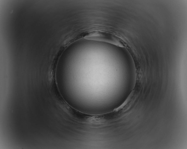 X0000089700568200706281456