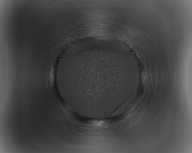 X0000089700570200706281457