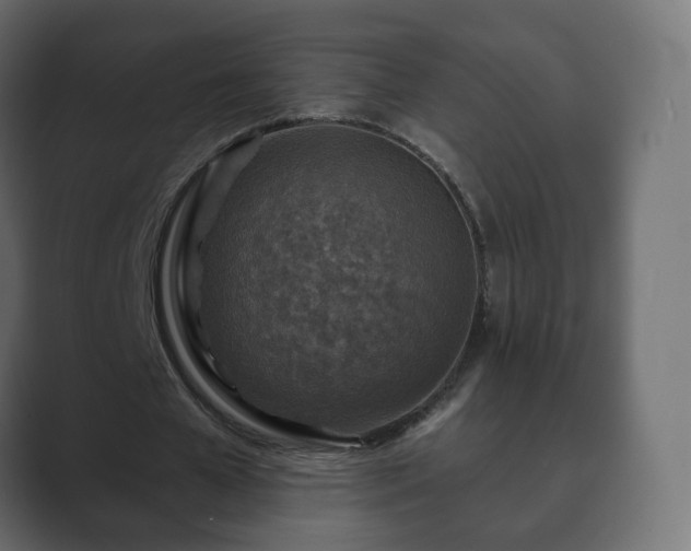 X0000089700577200706281456