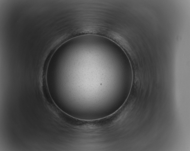 X0000089700578200706281456