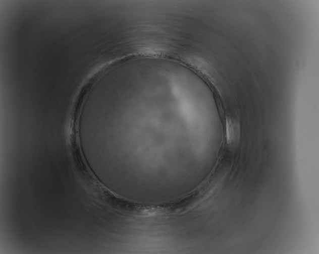 X0000089700579200706281456