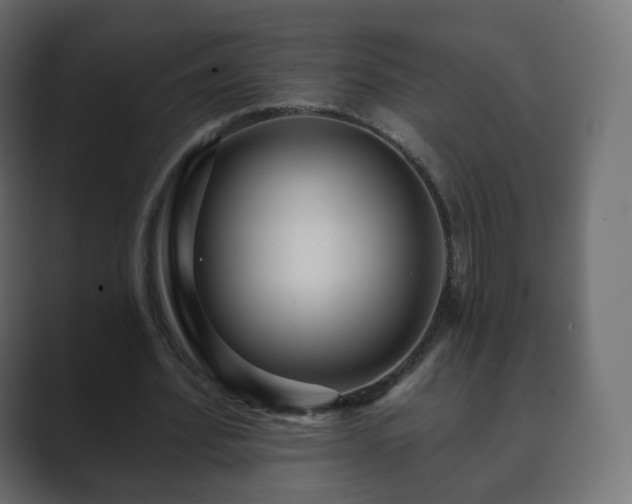 X0000089700580200706281456