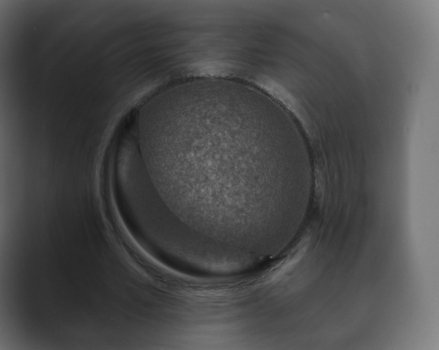 X0000089700581200706281456