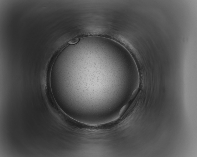 X0000089700582200706281456