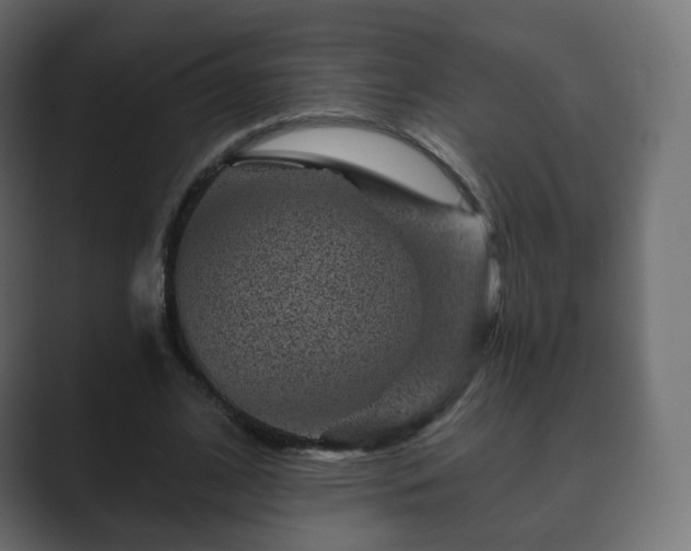 X0000089700584200706281456