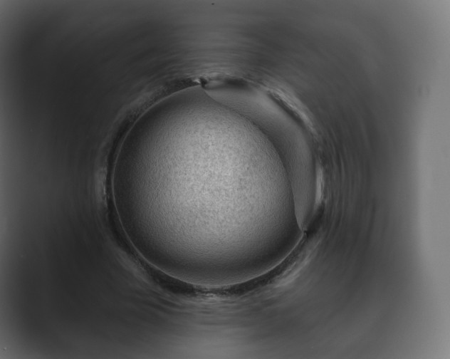 X0000089700585200706281456