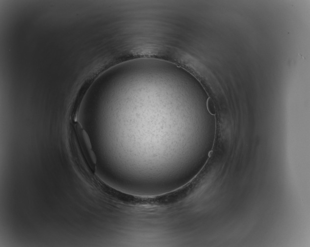 X0000089700586200706281456