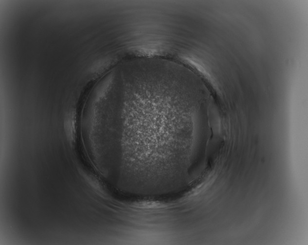 X0000089700590200706281456