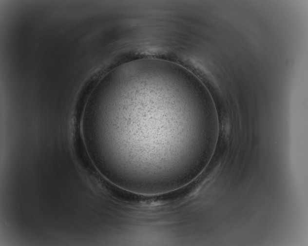 X0000089700591200706281456